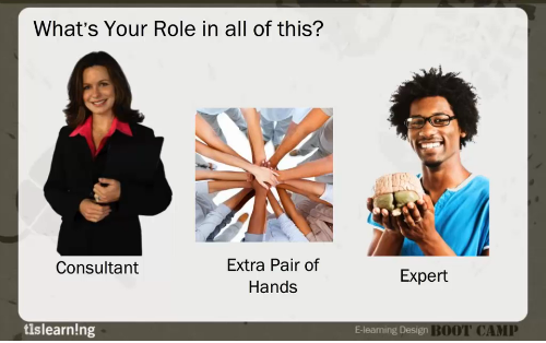 e-learning roles